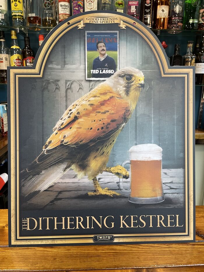 Bird Of Prey And A Pint