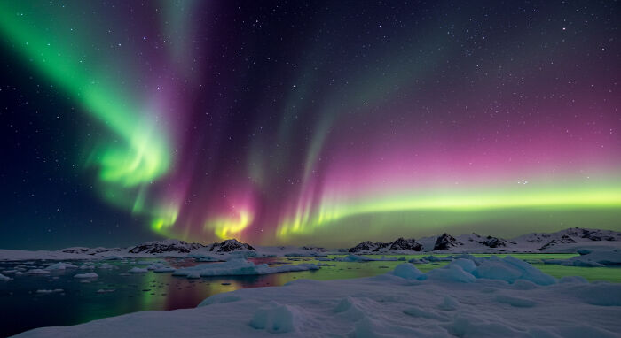 I Captured "Wonders Of Antarctica"