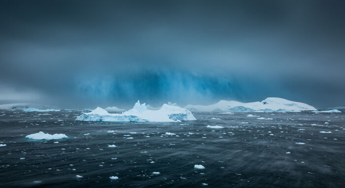 I Captured "Wonders Of Antarctica"