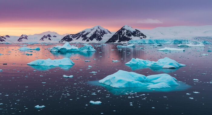 I Captured "Wonders Of Antarctica"