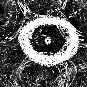 halenpendarvis avatar