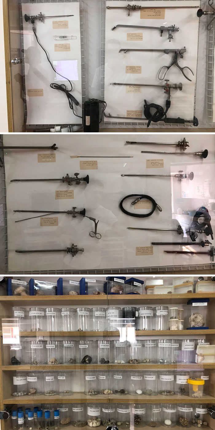 Vintage medical tools and specimen jars displayed in a museum showcasing fascinating and disturbing medical photos.