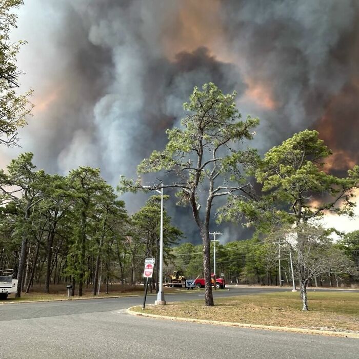 Smoke billowing over trees and a road during a catastrophic wildfire in a wooded area with emergency vehicles nearby.