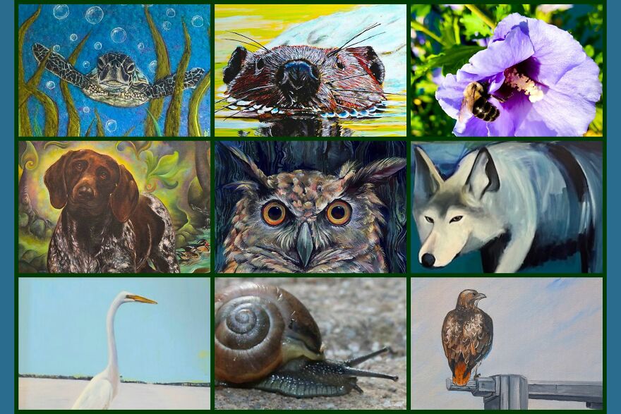 9 Artists Explore A Visual Dialogue With Nature&rsquo;s Neighbors