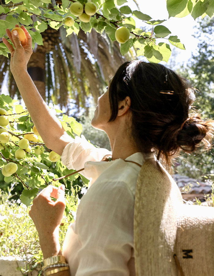 Woman picking fruit from tree outdoors, illustrating Meghan Markle website glitch causing refunds and shopper frustration.
