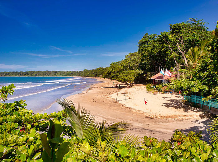 Scenic beach with lush greenery and clear blue sky, unrelated to second victim revealed in tragic accident news. - 3