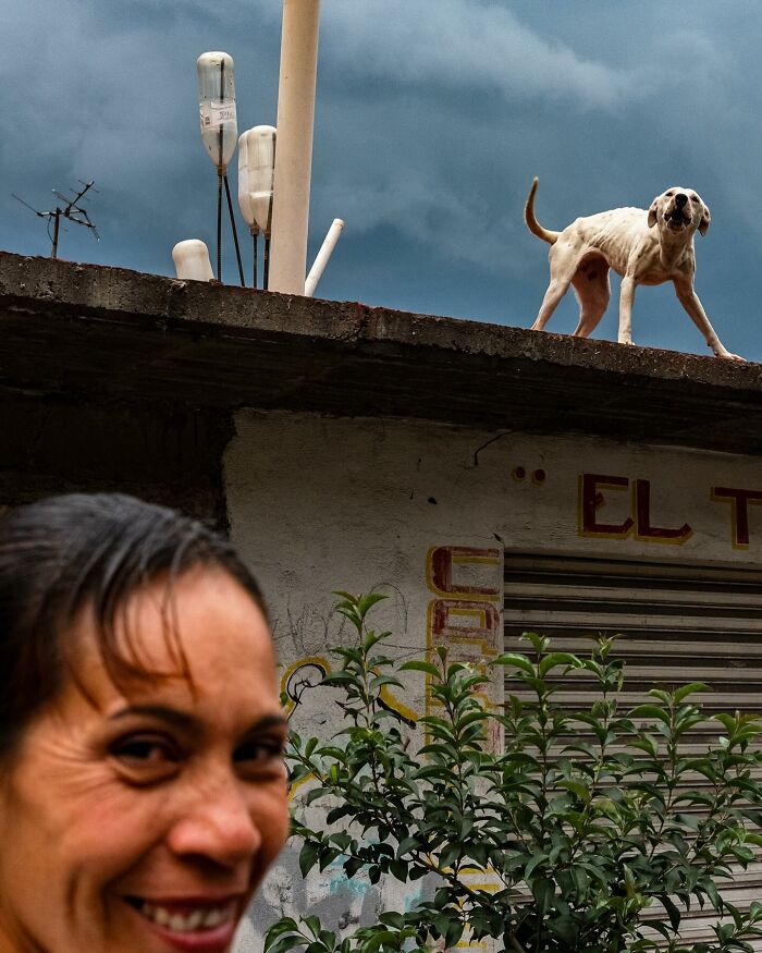 Smiling woman in foreground with a dog on a rooftop, capturing honest street moments in everyday life.