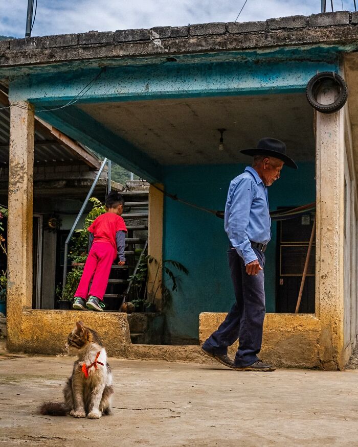 Elderly man, child, and cat captured in a street moment showcasing the beauty of everyday life and honest interactions.