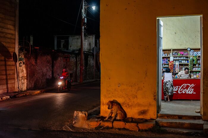 Night street scene showing a motorcyclist, a dog resting by a yellow wall, and people inside a small local shop, capturing honest street moments.
