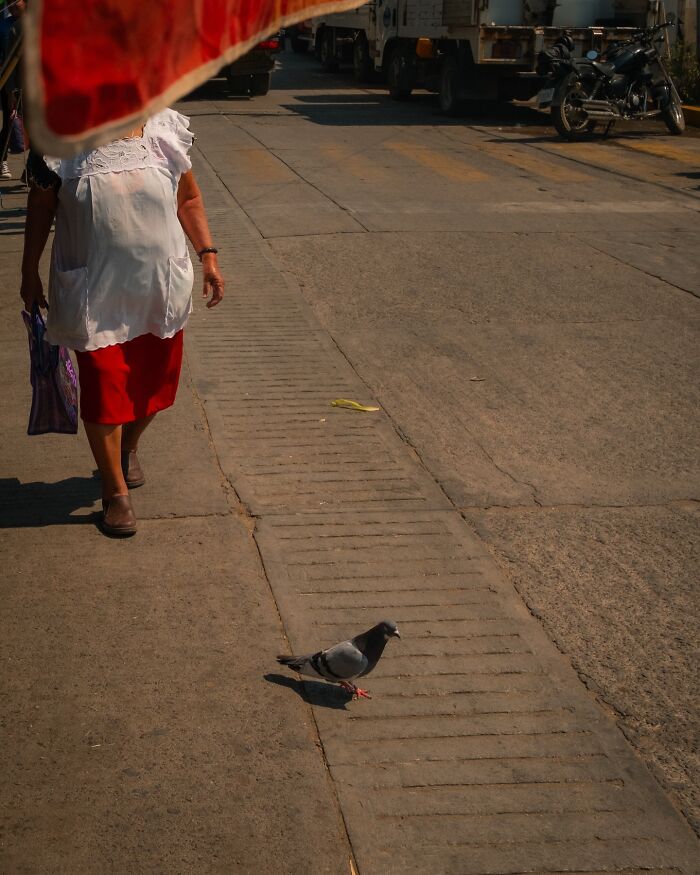 Woman walking on street with pigeon nearby, capturing honest street moments that show the beauty of everyday life.
