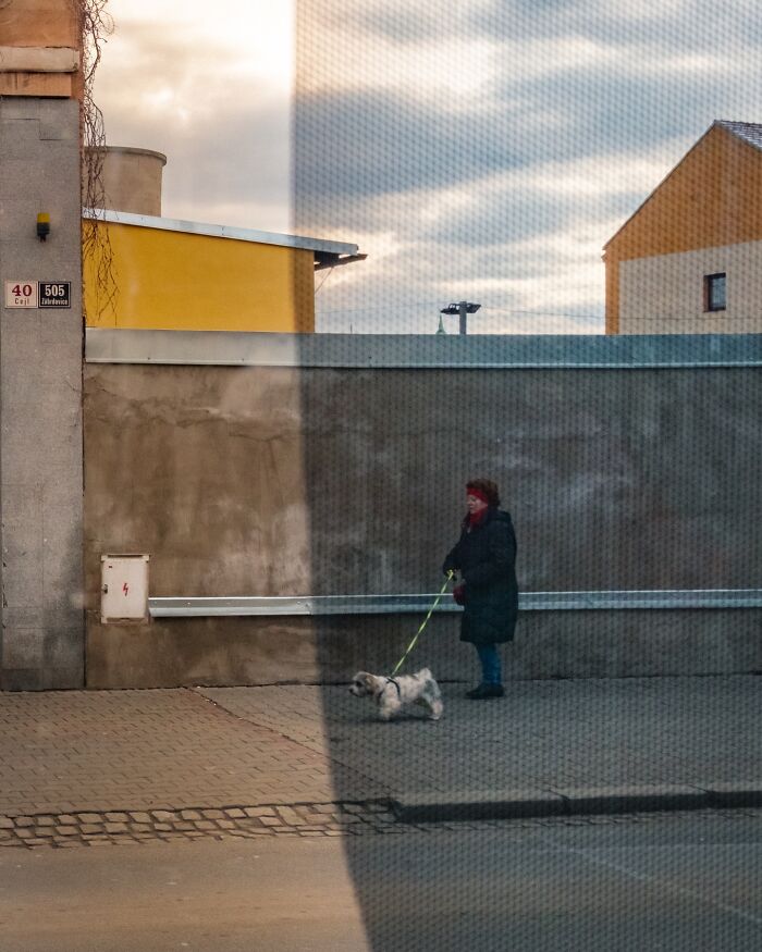 Woman walking a small dog on a city street, captured in an honest street moment showing the beauty of everyday life.