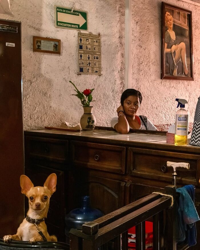 Woman sitting behind a counter with a small dog in an indoor setting, capturing honest street moments of everyday life.