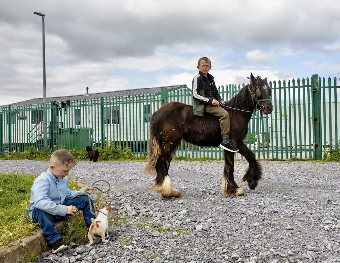 Irish Traveller kids interacting with animals, one boy riding a horse while another plays with a small dog outdoors.