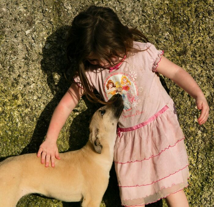 Irish traveller kid in a pink dress lovingly interacting with a light brown dog outdoors by a textured wall.