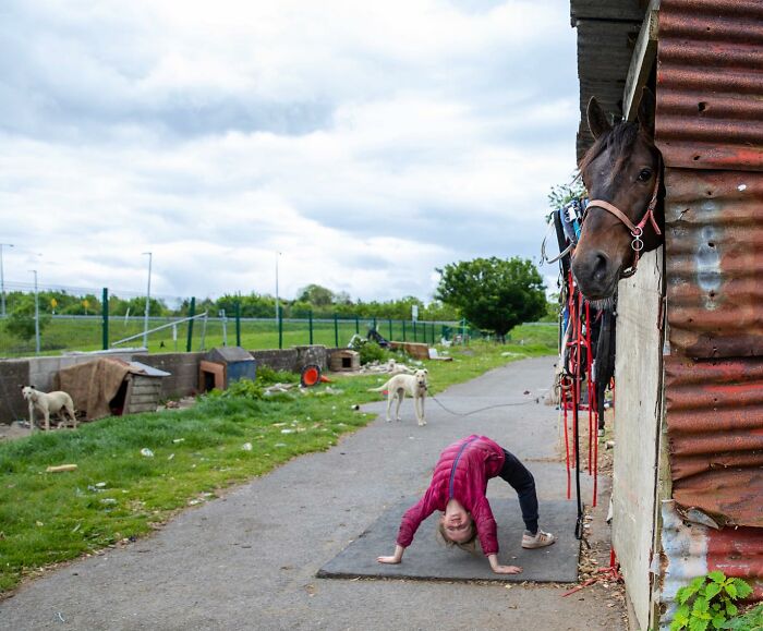 Irish Traveller kid stretching near a horse and dogs outside rustic animal shelters on a cloudy day.
