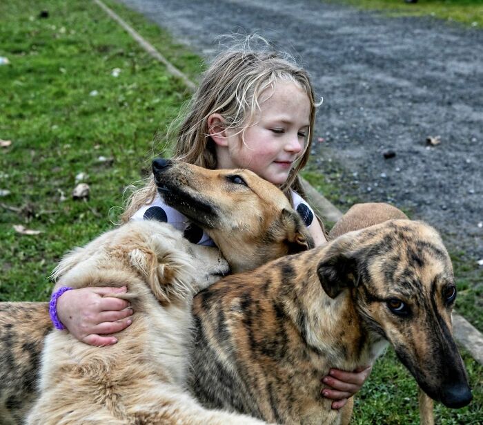 Irish Traveller kid hugging three dogs outdoors, showing close bond growing up with animals in a rural setting.