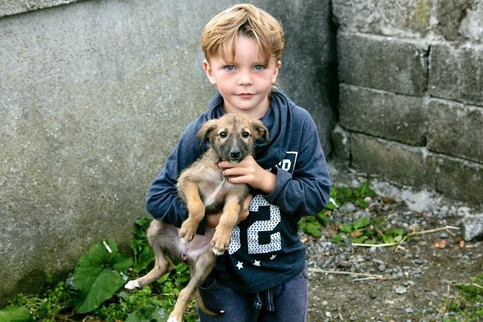 Young Irish Traveller kid holding a small dog, growing up close with animals in a rustic outdoor setting.