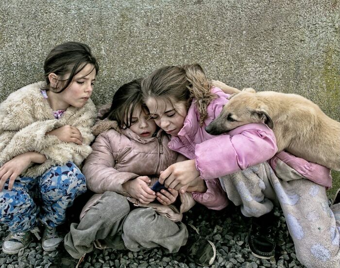 Three Irish Traveller kids wearing winter clothes sitting on gravel with a dog, growing up surrounded by animals.