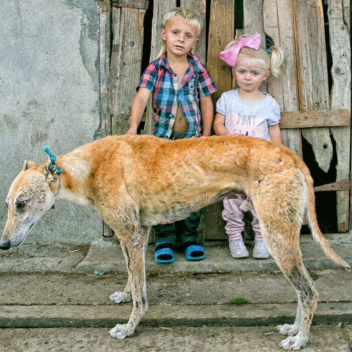 Two Irish Traveller kids standing by a wooden door with a large dog in the foreground, showing life with animals.