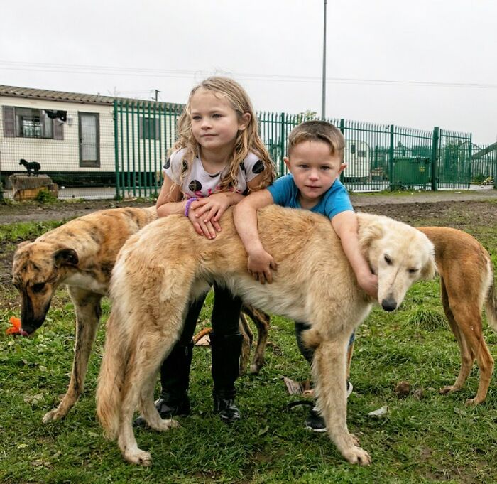 Two Irish Traveller kids outdoors embracing large dogs, showing the bond of growing up with animals in rural surroundings.