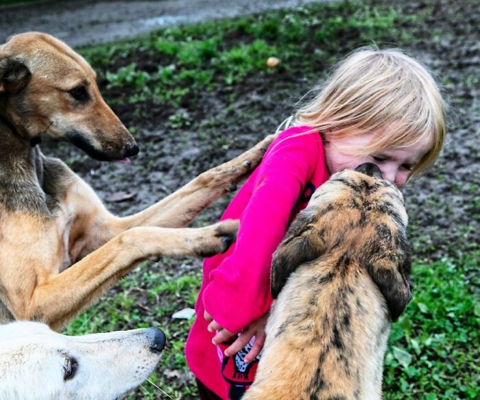 Irish Traveller kids interacting closely with dogs outdoors, showing heartfelt moments of growing up with animals.