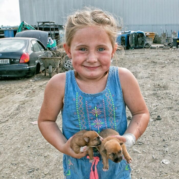 Young Irish Traveller kid smiling while holding two small puppies in an outdoor setting with cars in the background