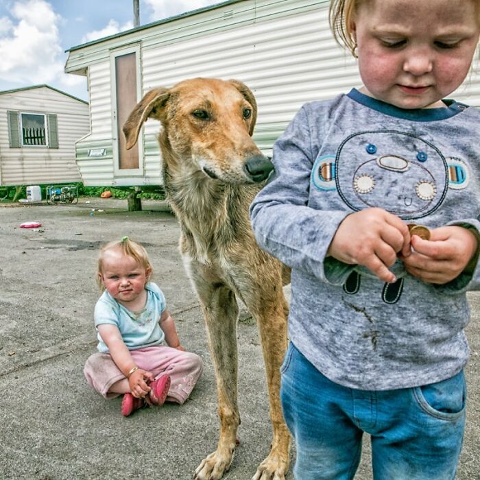 Two Irish Traveller kids playing outside near a dog by caravans, capturing life growing up with animals.