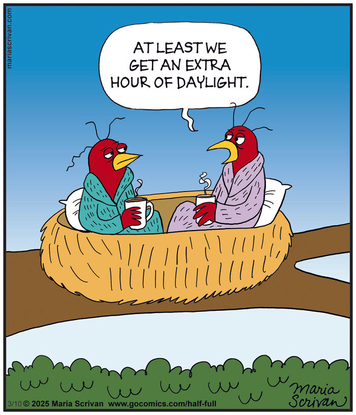 Two funny cartoon birds in robes drinking coffee in a nest, depicting a humorous comic with absurd situations.
