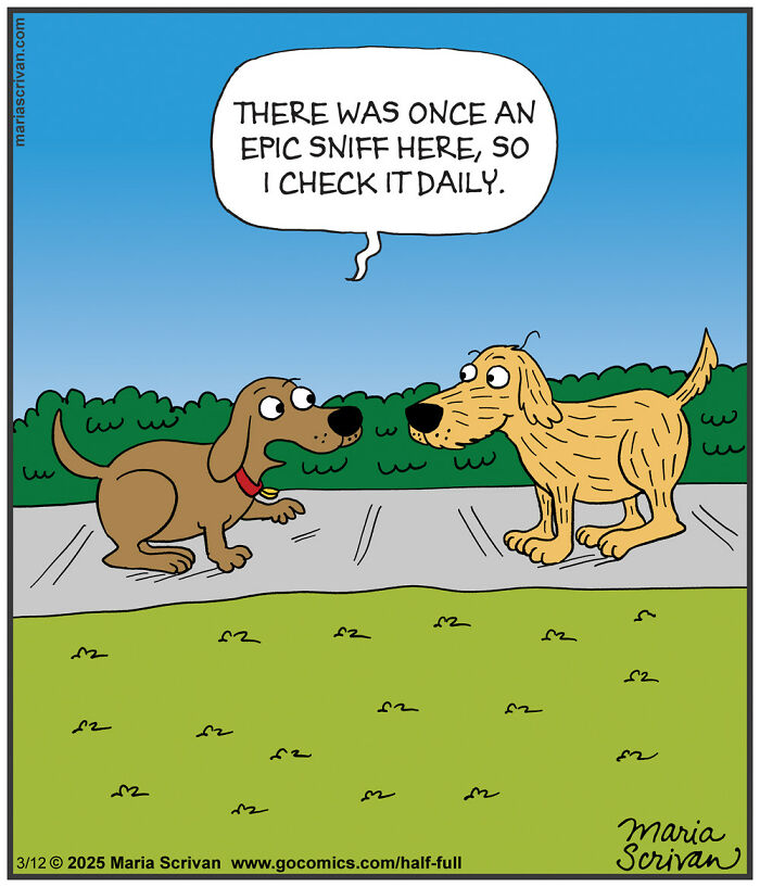 Two funny cartoon dogs on a sidewalk in a hilarious comic featuring absurd situations by the artist Maria Scrivan.