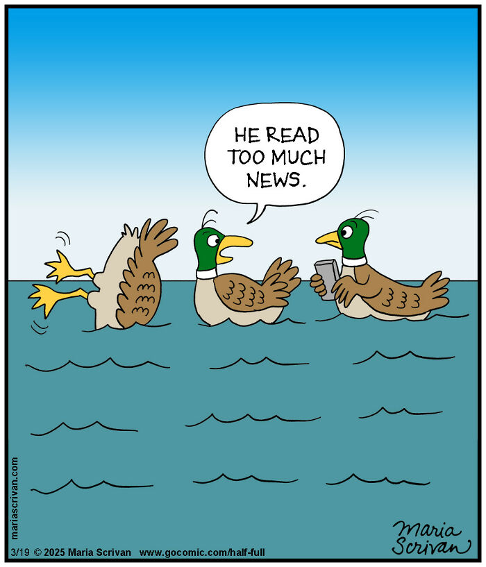 Three ducks in water with one reading a phone and another saying he read too much news, comic featuring funny characters.