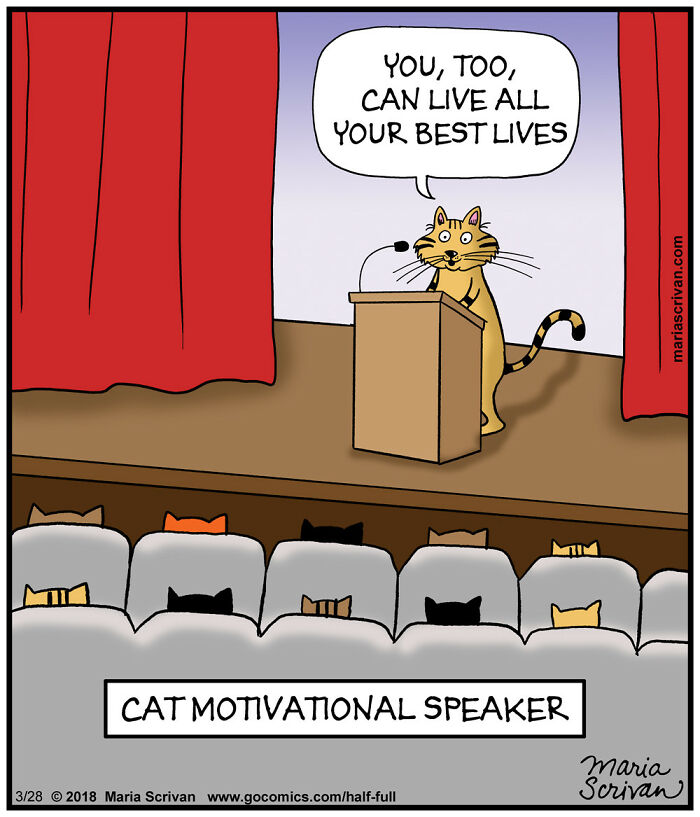 Cat motivational speaker comic with funny characters in an absurd situation delivering an inspirational message on stage.