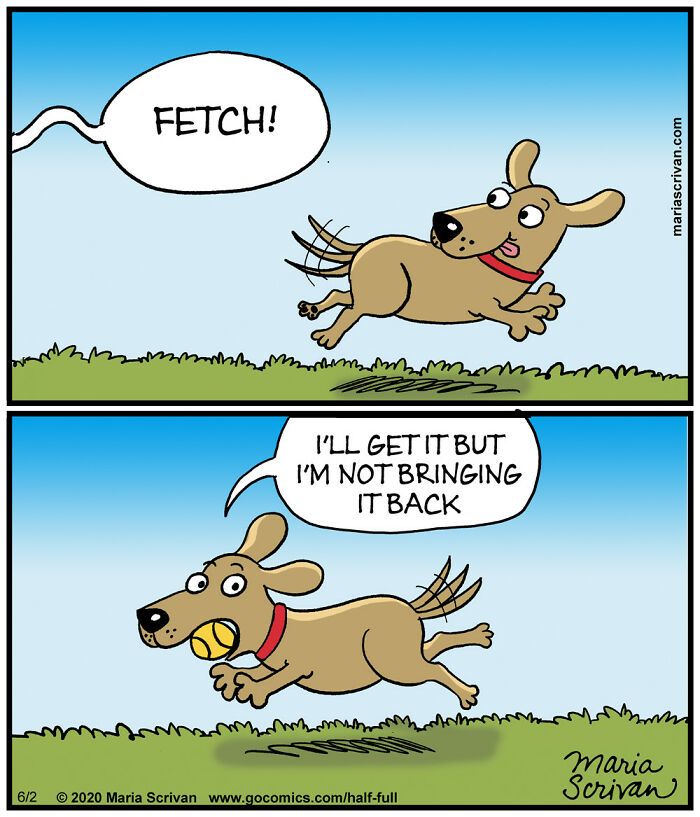 Comic featuring a funny dog character in an absurd situation refusing to bring back a ball after fetching it.