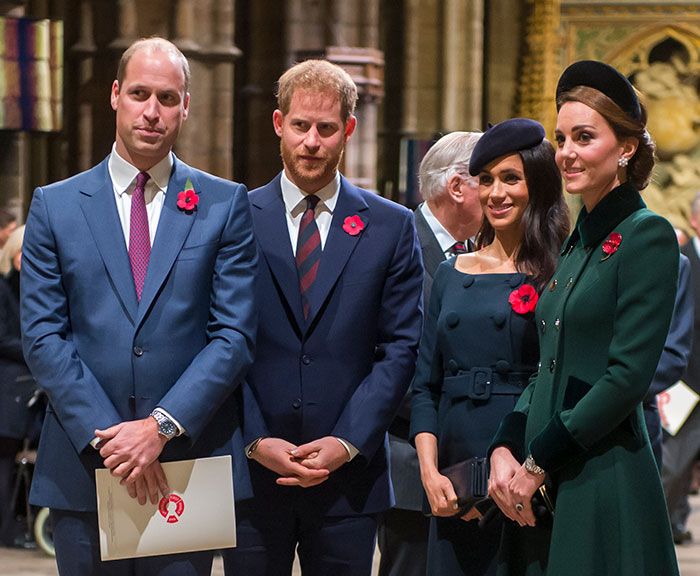 Prince William and Harry standing with family members at a formal event, all wearing poppy pins on their outfits.