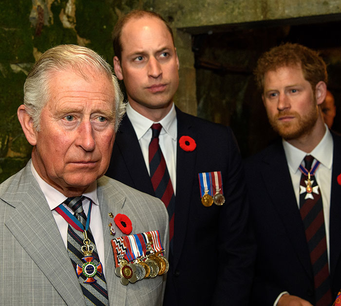 Prince William and Harry with their cousin at a formal event, all wearing suits and commemorative medals.