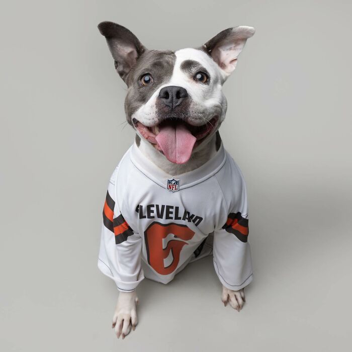 Happy rescue puppy wearing a Cleveland jersey, enjoying peanut butter for the first time with pure joy on its face