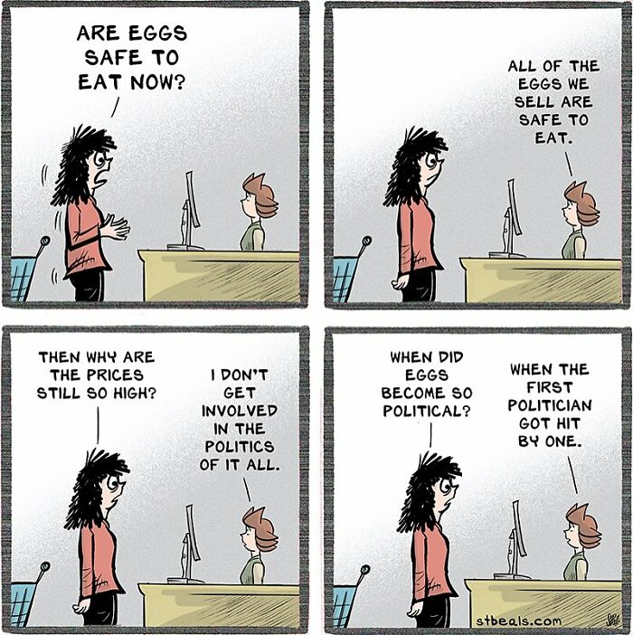 Comic strip humorously capturing everyday life chaos with a woman questioning egg safety and prices at a grocery store counter.