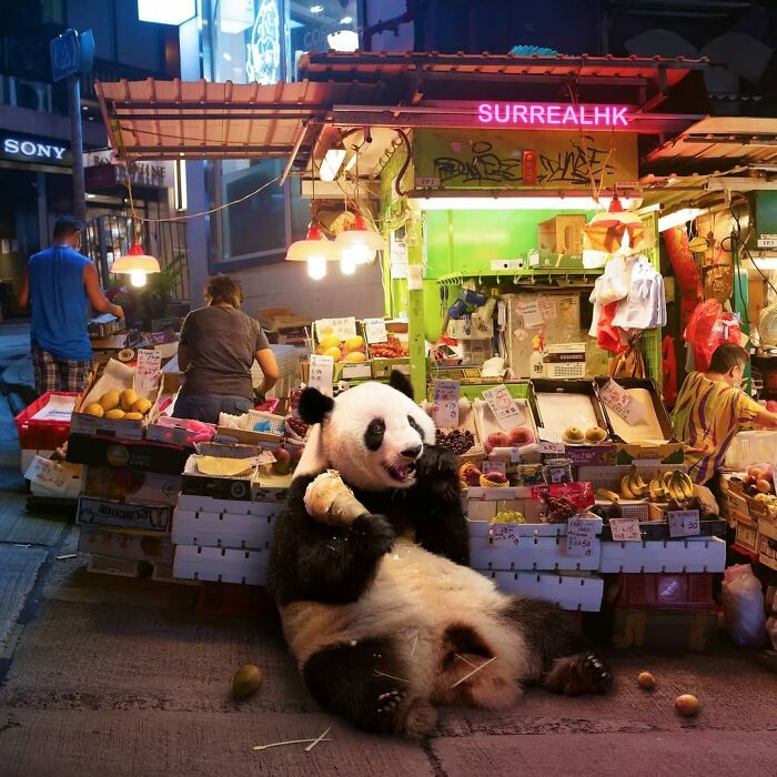 Panda sitting and eating fruit at a busy Hong Kong market stall, part of hilarious panda edits by SurrealHK.