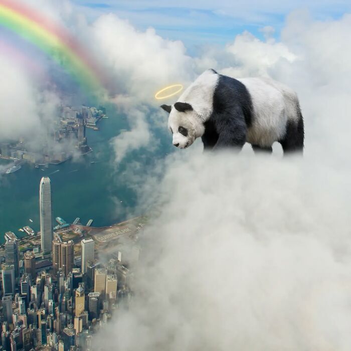 Giant panda with a glowing halo floating above Hong Kong clouds near a rainbow in surreal panda edits by SurrealHK.