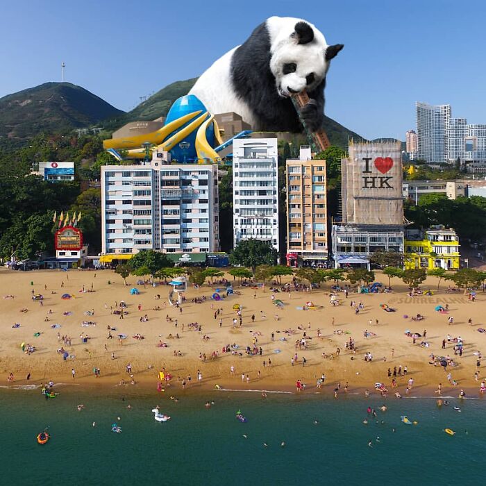 Giant panda surreal edit towering over Hong Kong cityscape and beach, blending humor with urban playground scenes.