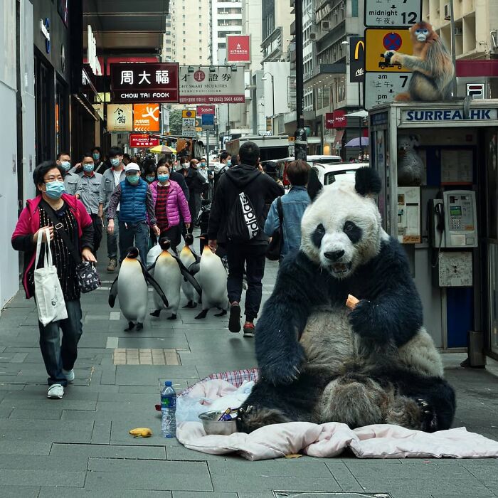 Panda sitting on a blanket in a busy Hong Kong street with people and penguins walking by surreal edits.