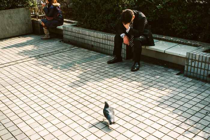 Man in a suit sitting on a bench in a tiled urban park with a pigeon walking nearby, daily life in Japan.