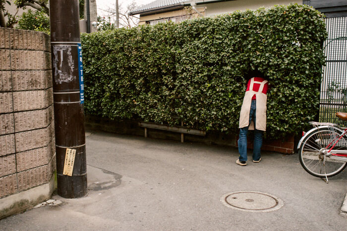Person wearing an apron peeking into a hedge along a quiet street in daily life in Japan by photographer Shin Noguchi