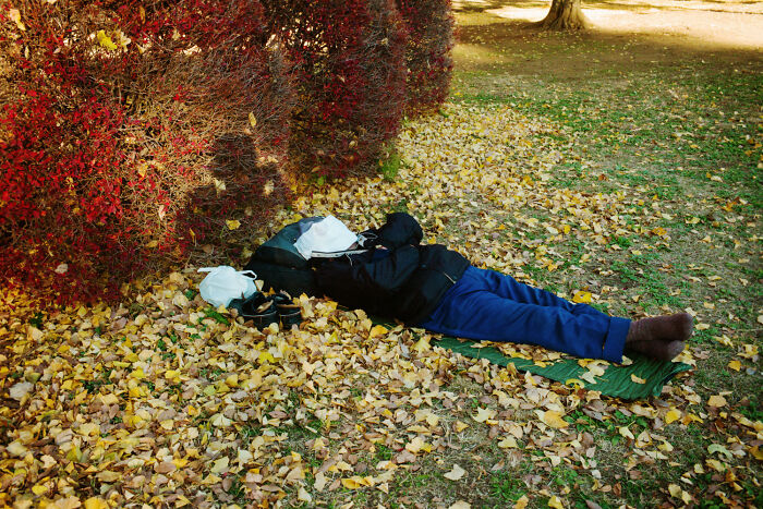 Person lying on fall leaves in a park, capturing a moment of daily life in Japan with vibrant red and yellow foliage around.