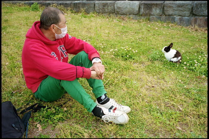 Man wearing a mask sitting on grass, observing a black and white rabbit in a candid daily life scene in Japan.