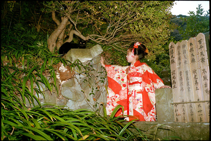 Young girl in traditional kimono surrounded by greenery and stone markers, capturing daily life in Japan photography.