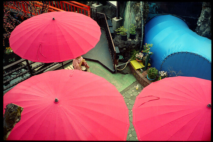 Colorful red umbrellas in an outdoor setting capturing daily life in Japan through photographer Shin Noguchi’s lens