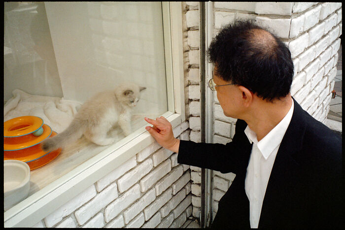 Man in glasses pointing at a kitten behind glass, showcasing daily life in Japan through photography by Shin Noguchi.