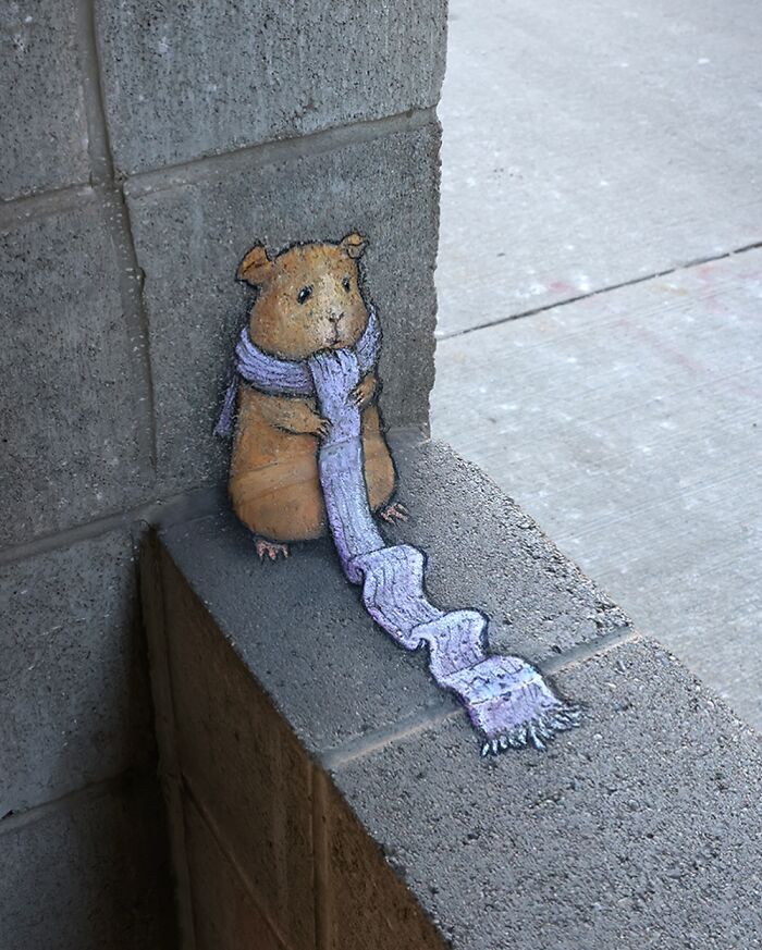Chalk art of a small animal wearing a long scarf on a sidewalk corner by David Zinn turning sidewalks into magical worlds.