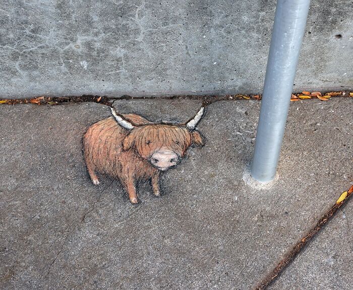 Chalk drawing by David Zinn of a Highland cow on a sidewalk near a metal pole transforming the pavement into a magical world.