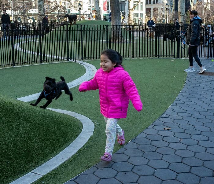 Stories From The Street